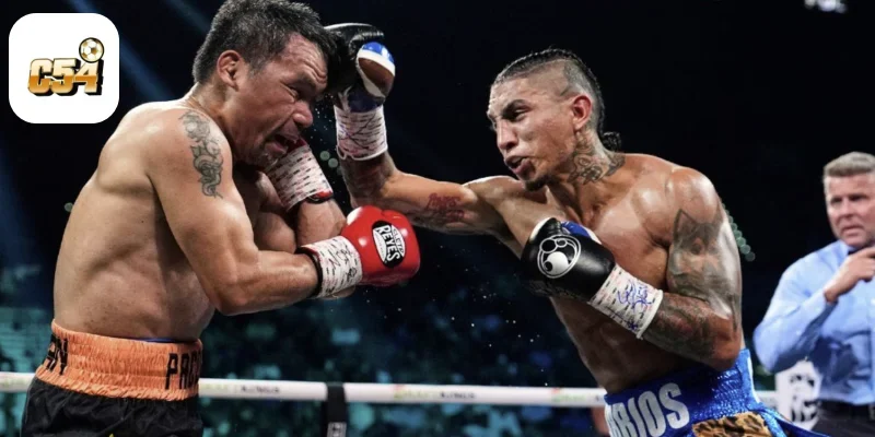 Cá Cược Boxing Online Tại C54 – Đối Kháng Đầy Kịch Tính 1 Cá Cược Boxing Online Tại C54 – Đối Kháng Đầy Kịch Tính